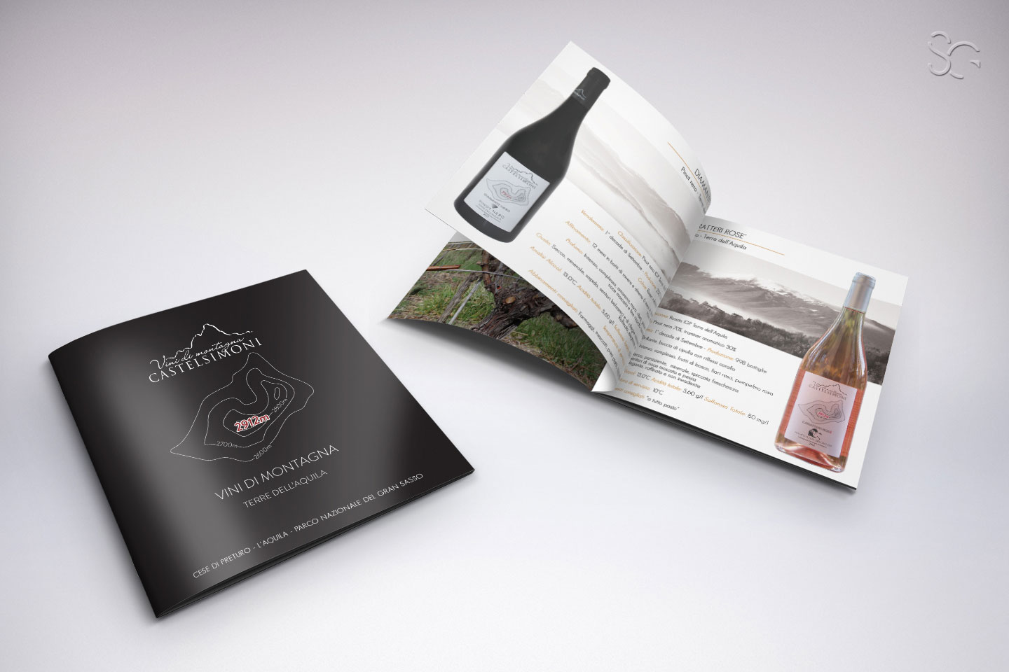 brochure-azienda-vitivinicola-castelsimoni-grafica-stefano-giancola