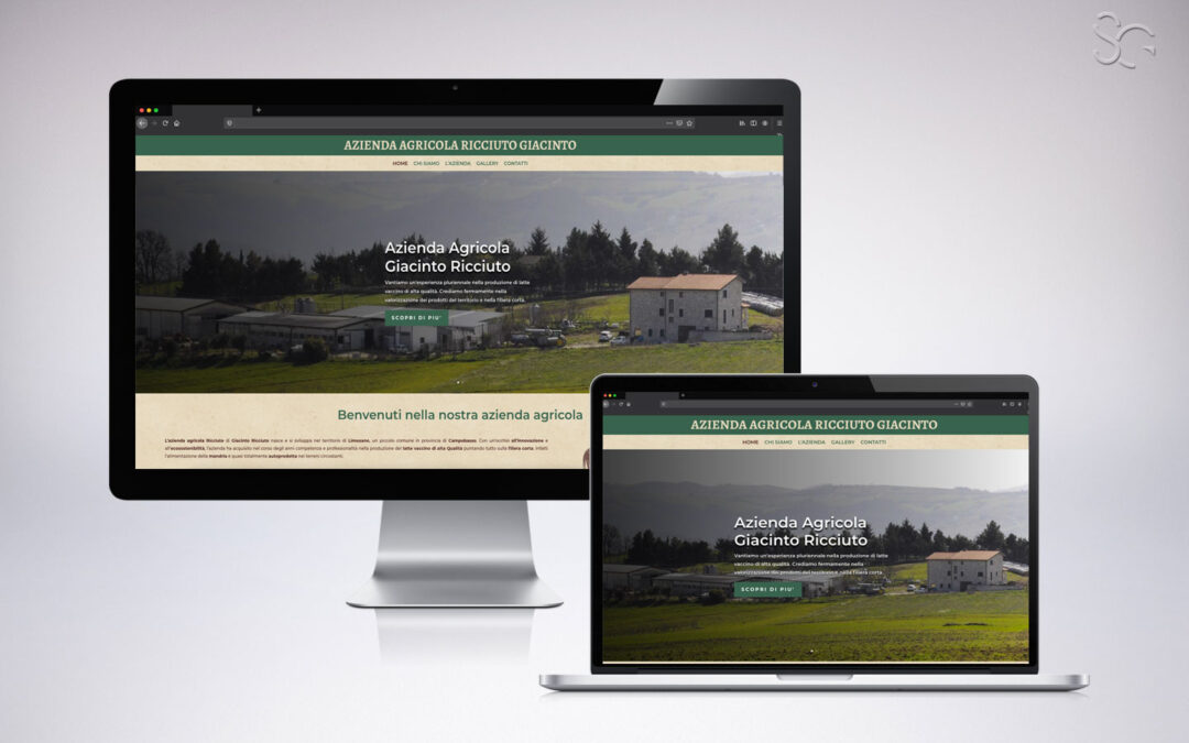 SITO WEB AZIENDA AGRICOLA RICCIUTO